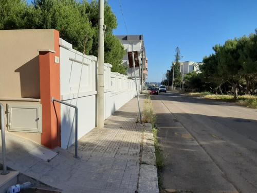 Imagen 2 de 2