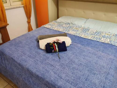Imagen 2 de 10