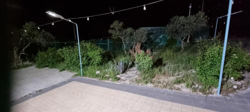 Imagen 5 de 24