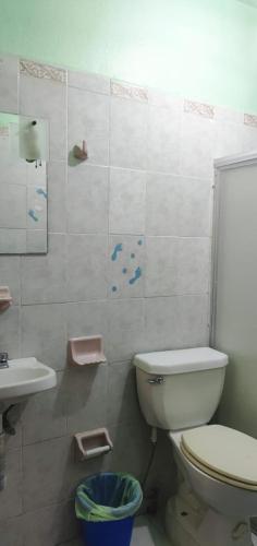 Imagen 4 de 10