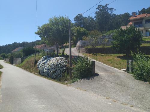 Imagen 4 de 18