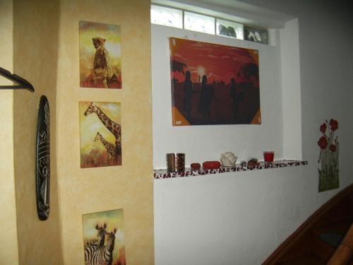 Imagen 5 de 17