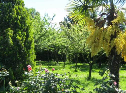Imagen 5 de 30