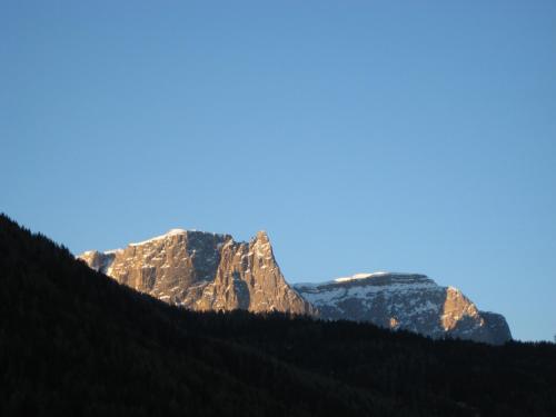 Imagen 3 de 19