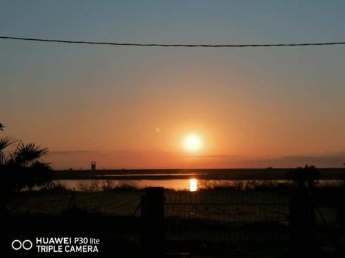 Imagen 2 de 28