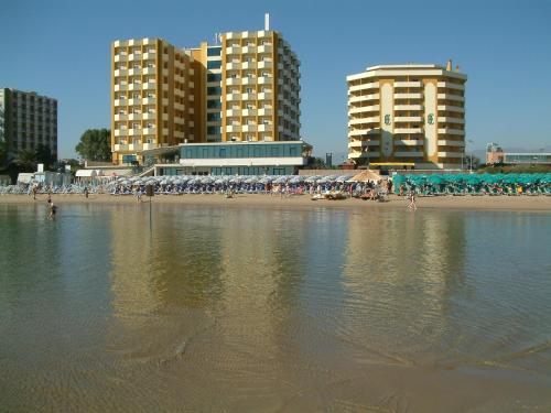 Imagen 5 de 63