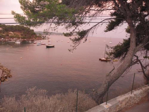 Imagen 5 de 36