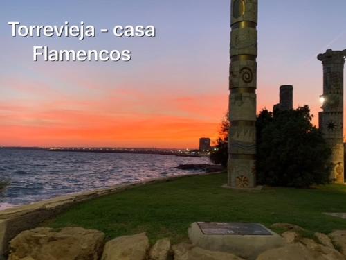 Imagen 3 de 6