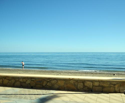 Imagen 2 de 9