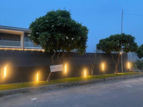Imagen 3 de 11