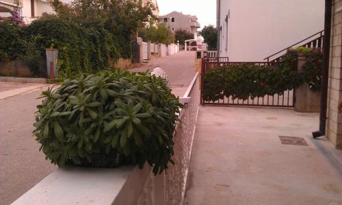 Imagen 2 de 30