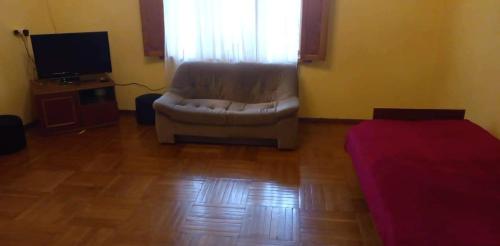 Imagen 3 de 14
