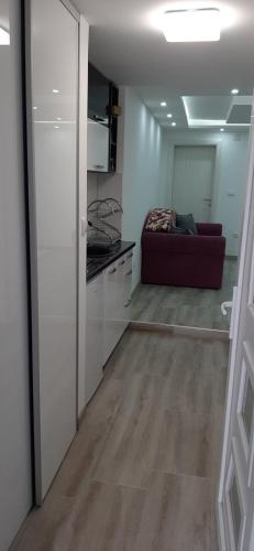 Imagen 5 de 12