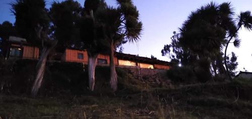 Imagen 3 de 9