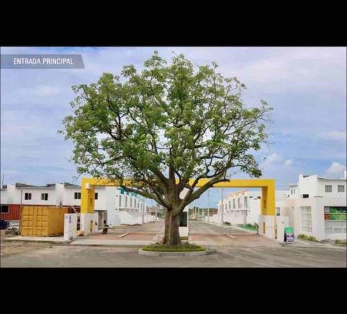 Imagen 1 de 20