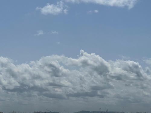 Imagen 1 de 30