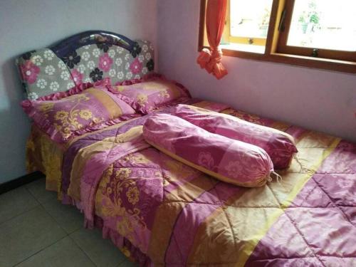 Imagen 4 de 12