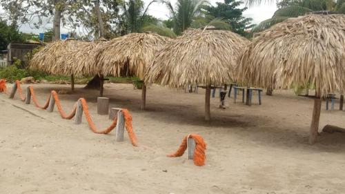 Imagen 3 de 3