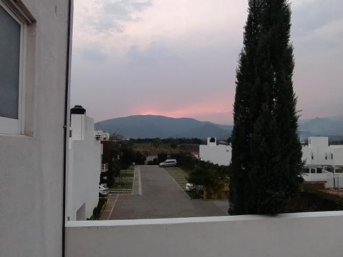 Imagen 2 de 19