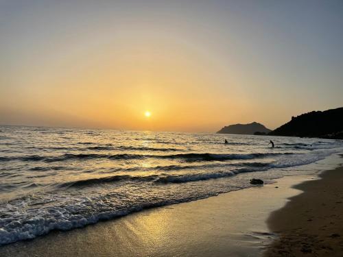 Imagen 4 de 17