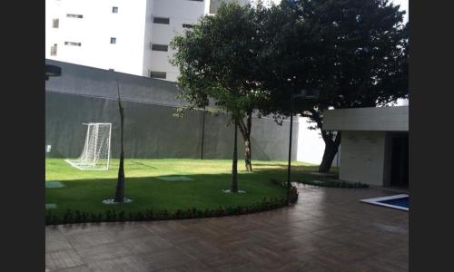 Imagen 2 de 4