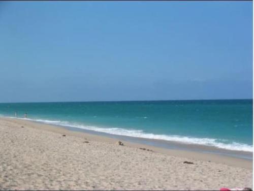 Imagen 1 de 29
