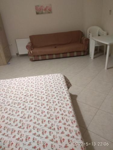 Imagen 1 de 28