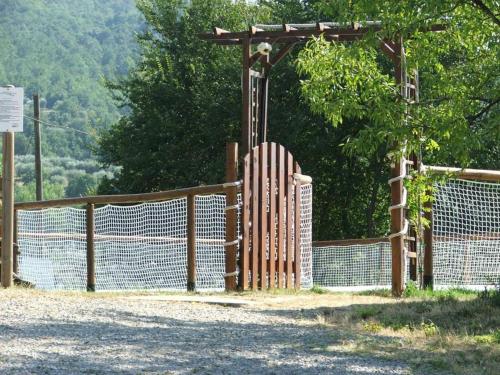 Imagen 5 de 53