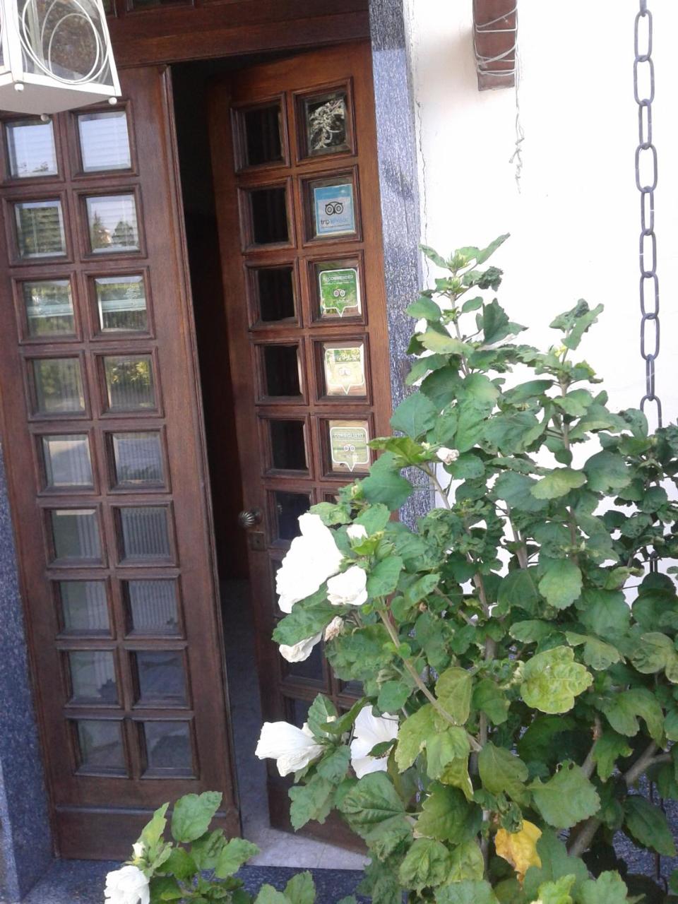 Imagen 3 de 58