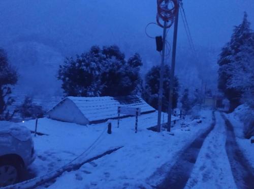 Imagen 2 de 17