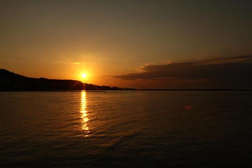 Imagen 3 de 22
