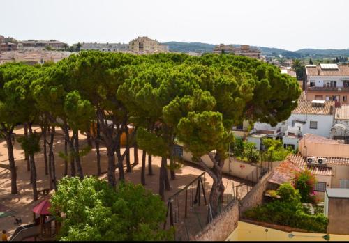 Imagen 2 de 10