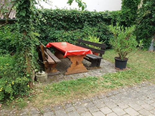 Imagen 1 de 9