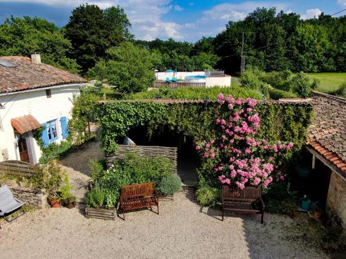 Imagen 3 de 10
