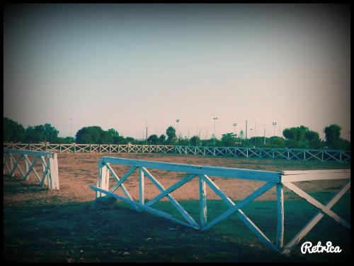 Imagen 2 de 171
