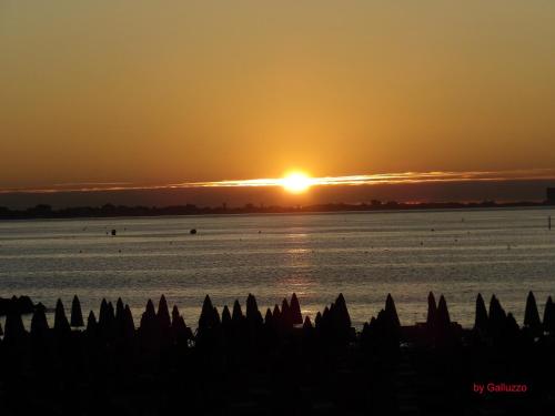 Imagen 4 de 40