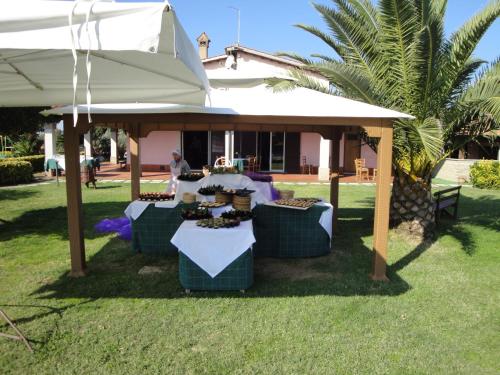 Imagen 4 de 33