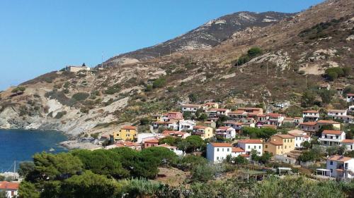 Imagen 3 de 17
