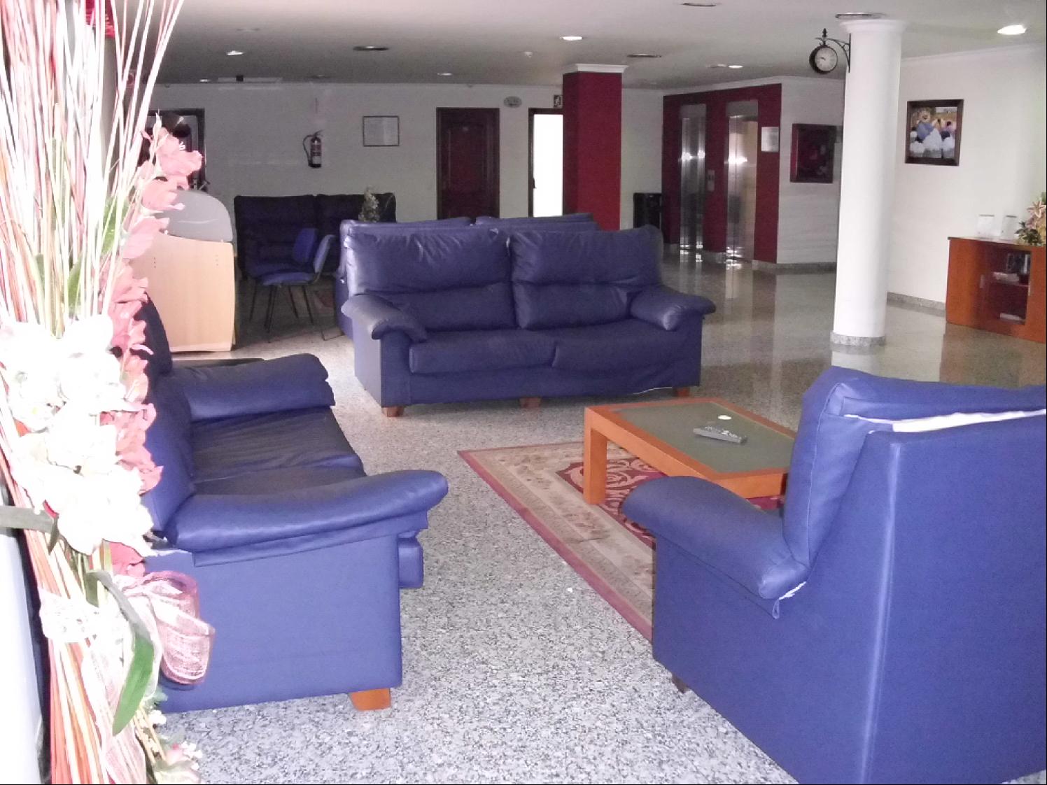 Imagen 4 de 23