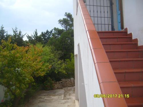 Imagen 4 de 19