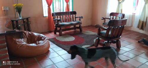 Imagen 3 de 6