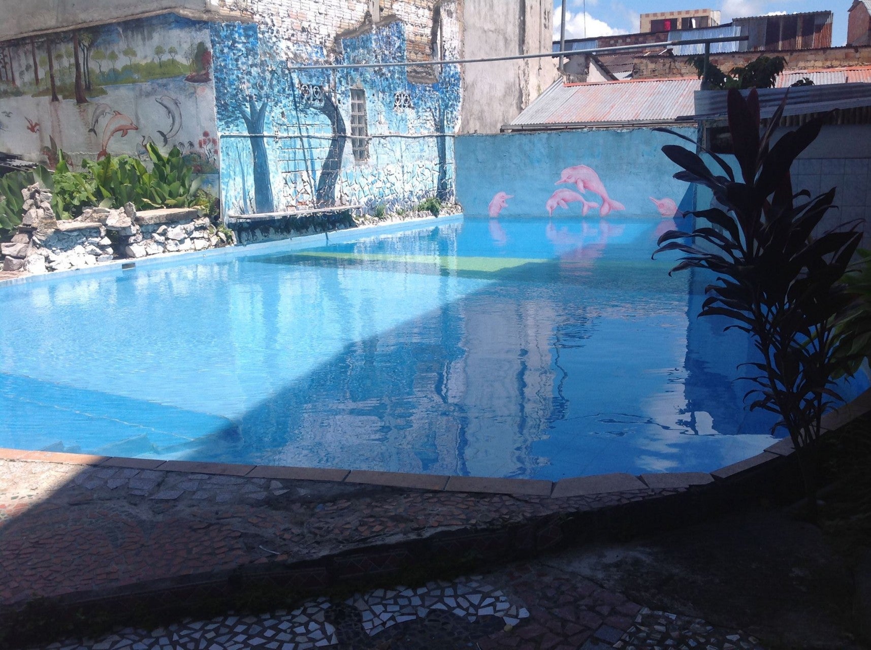 Imagen 4 de 5