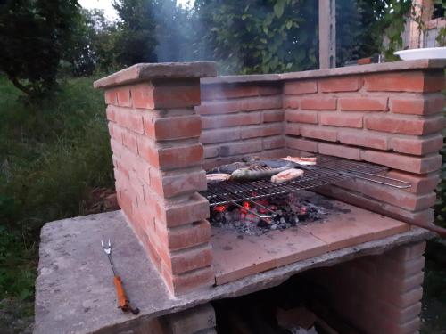 Imagen 5 de 28