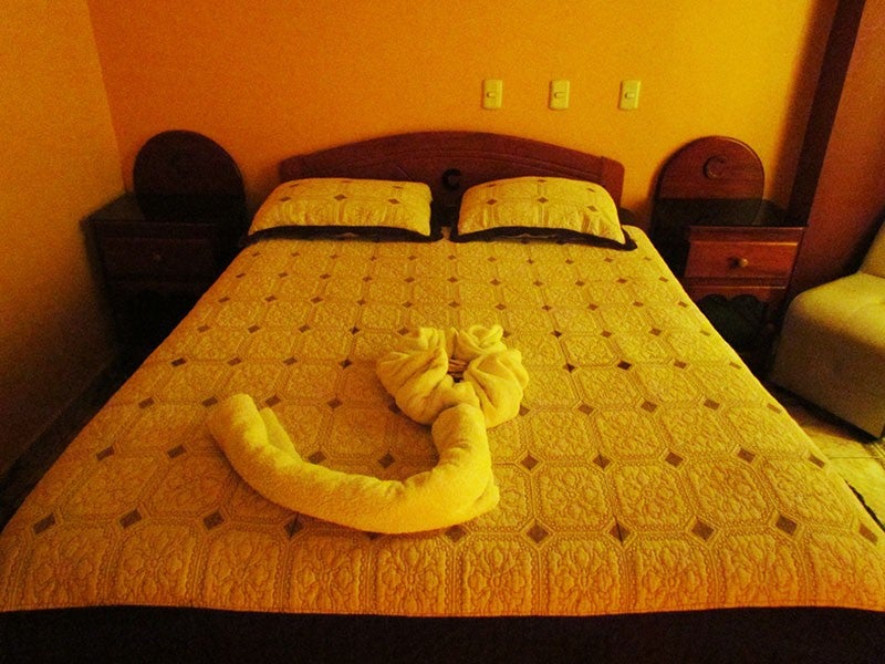 Imagen 3 de 4