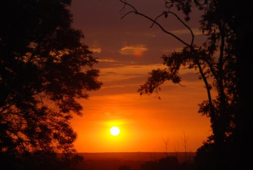 Imagen 3 de 50