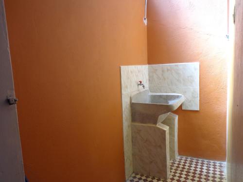 Imagen 4 de 12