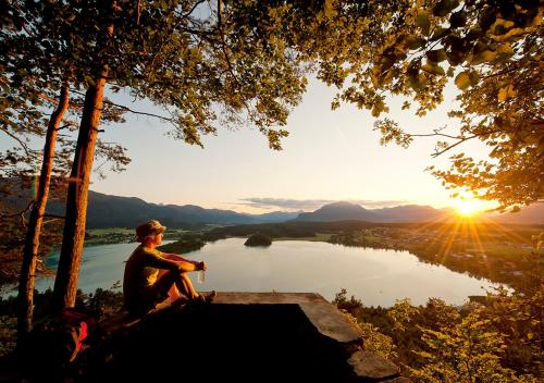 Imagen 5 de 12