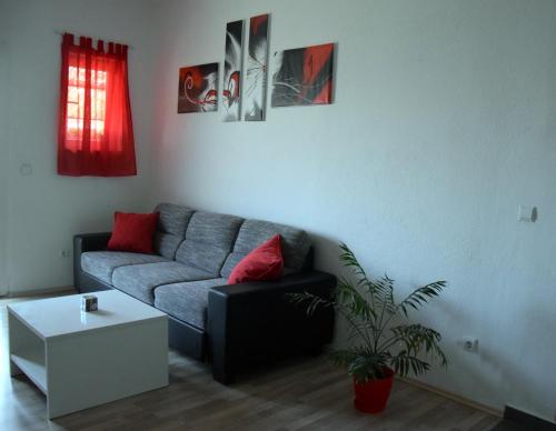 Imagen 4 de 34
