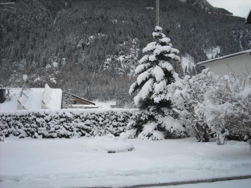 Imagen 5 de 43
