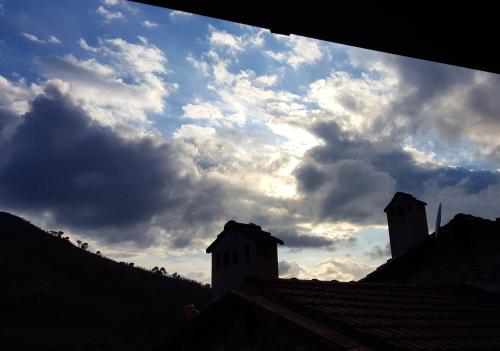Imagen 3 de 13